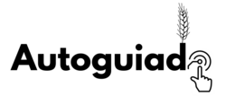 autoguiadogps.es